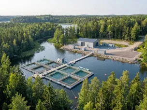 Универсальное инвестпредложение по созданию рыбоводного хозяйства разработано в Нижегородской области